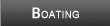 Lake Carlton Boating