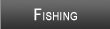 Lake Carlton Fishing